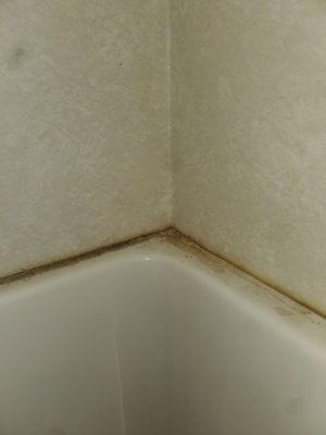 Rodeway Inn & Suites