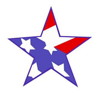 American Junk Removal