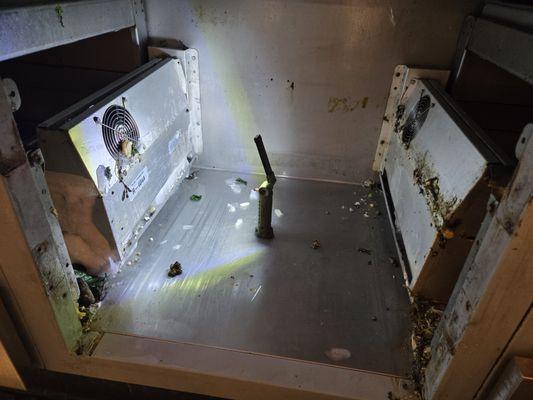 Rainbow Promise Keeper