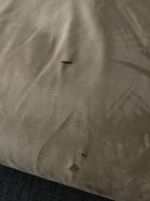 Residence Inn Durango Downtown