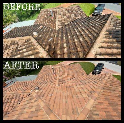 Refreshing Pressure Cleaning