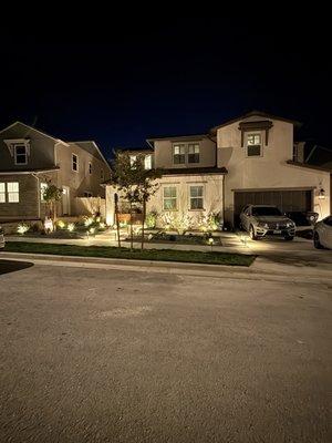 Green Landscape Nursery