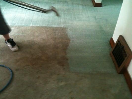 Carpet & Furniture Cleaning