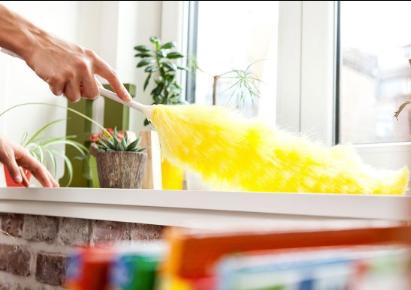 Adriana's Painting & Cleaning