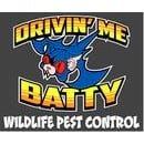 Drivin' Me Batty LLC
