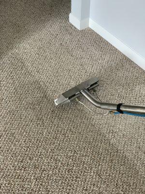 carpet steam cleaning in Barrington