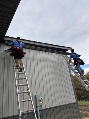 Servall Termite & Pest Control