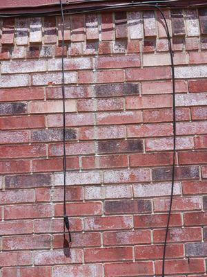 Trusted Foundation Repair