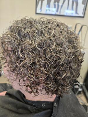 Shearly Twisted Salon