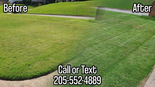 A major difference, and it was my pleasure to keep the lawn under control!