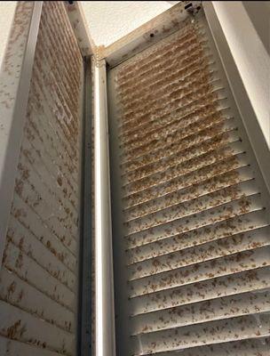 Rusted old doors painted over with white