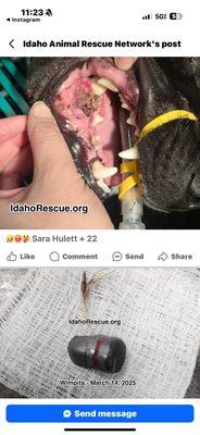 Dakota's Towing Junk & Auto Removal Service