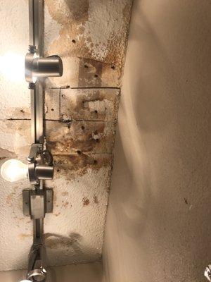 Water damage to our apartment, when maintenance guys tried to do their own personal laundry above us when the tenant moved out.