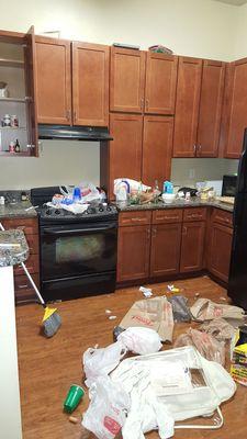 House Of Pristine Renovation