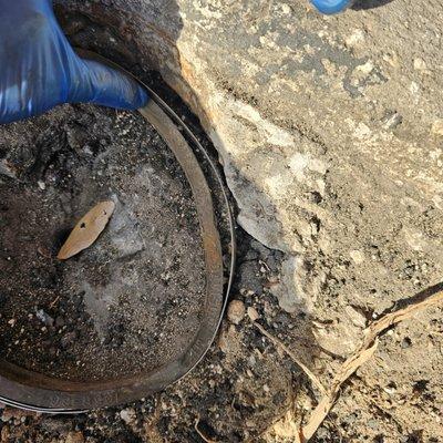 Florida Sealcoating, LLC