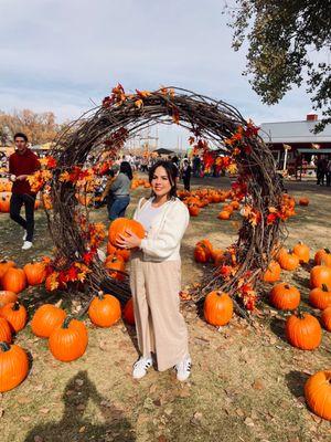 Papa's Pumpkin Patch