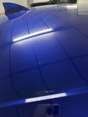 Fisheyes all over it!