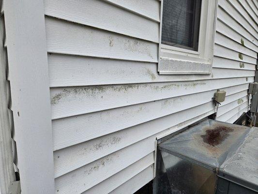 Kiefer Property Solutions