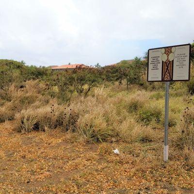 Beneath the overgrowth lies a restricted area that is being held for future investigation/preservation