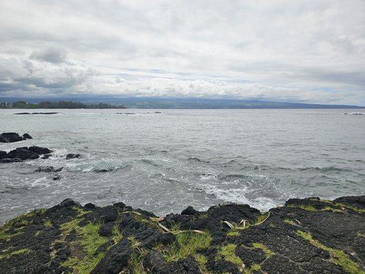 Greenfairydust Taxi & Tours