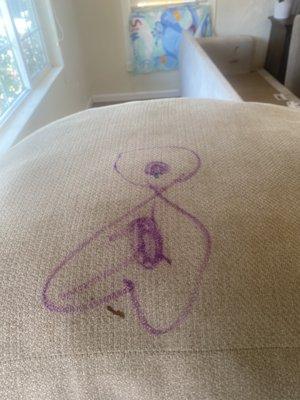 Scott's Upholstery & Carpet Care