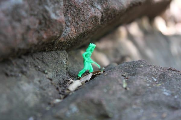 Guardian of the forest!