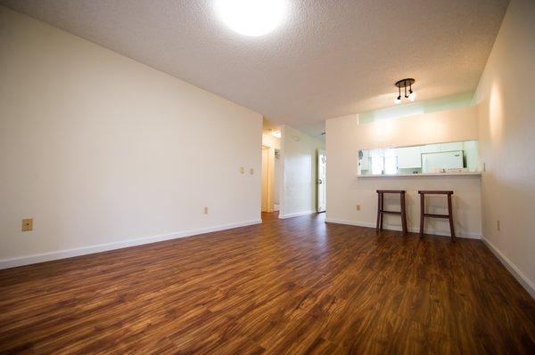 Living Area Luxury Vinyl Plank