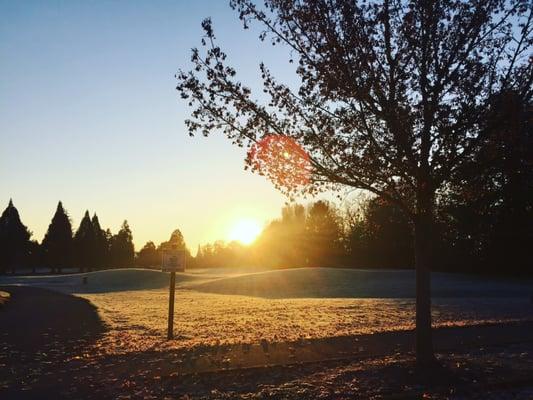 One picture of the golf course