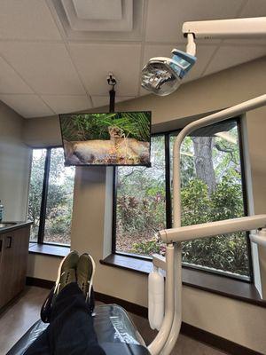 Conway Smiles and Dental Implants