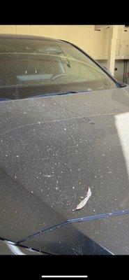 Reliable Landscape & Maintenance