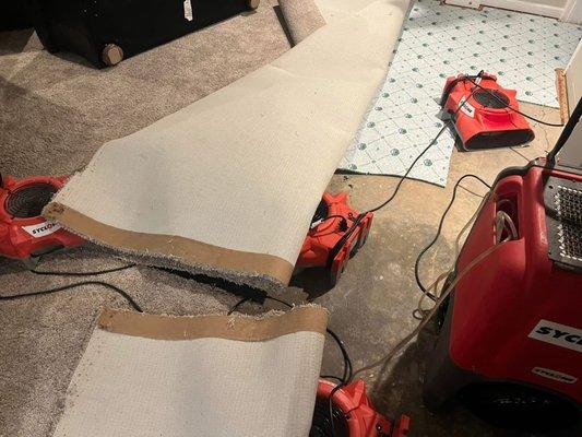 Reliable Water Mitigation