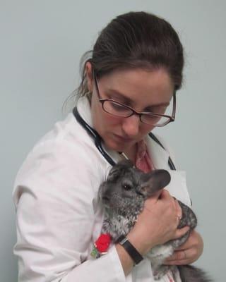 Crescenta Valley Veterinary Hospital