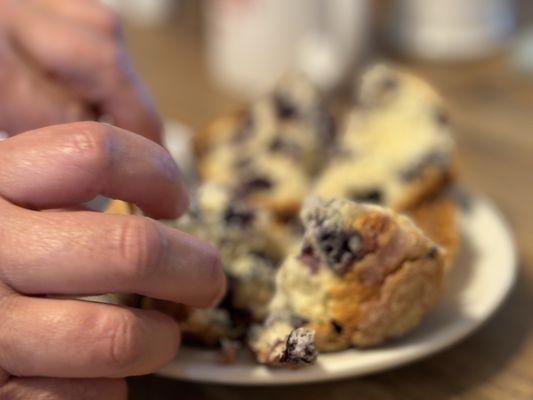 Perfect blueberry muffin!!