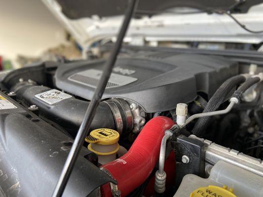 Mishimoto Silicone Hoses