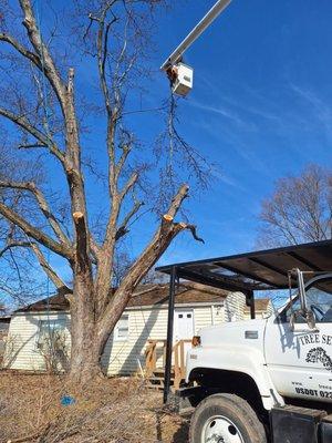 Local Family owned and operated since 1990. Kiger's Tree service offers free estimates on all your tree care or land clearing 765-702-6320