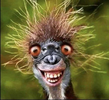 Jack Jr Towing & Auto Repair