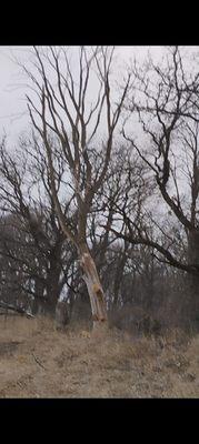 Timber Ridge Rec Ranch