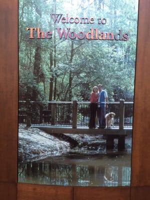 No dogs allowed but there's this...hmmm