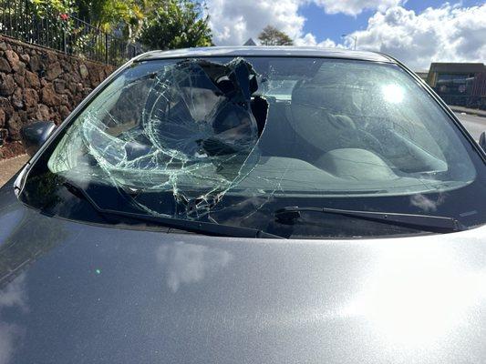 Aloha Mobile Auto Glass