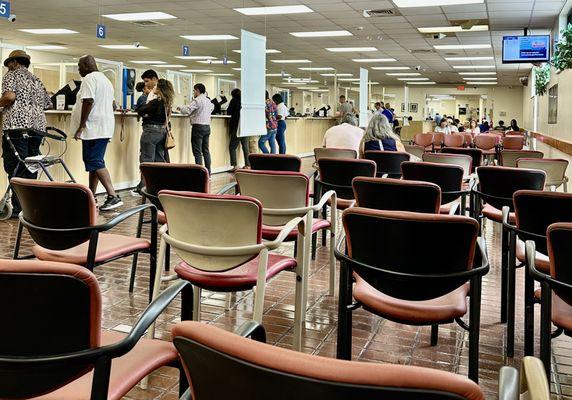 Tax Collector - Delray Beach