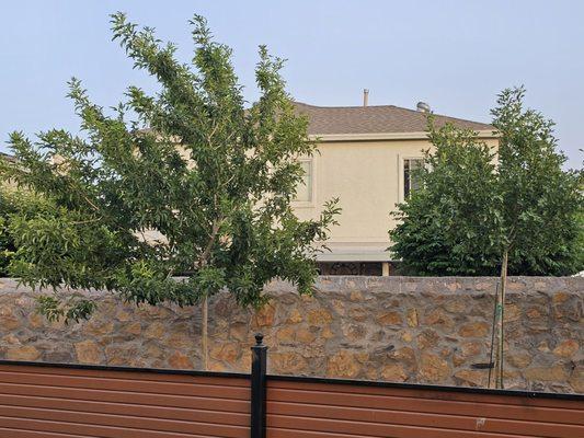 Eastside Discount Nursery