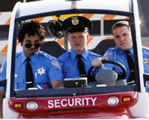 Preventive Measures Security Firm