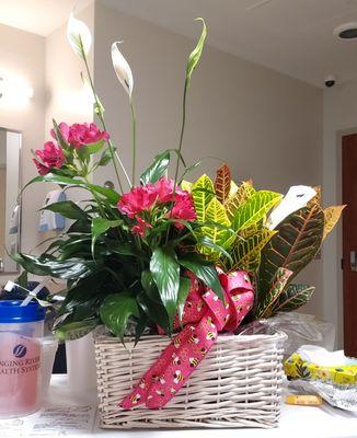 Mann Travels - Park Road