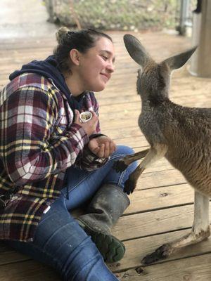 Pet Care By Gabrielle