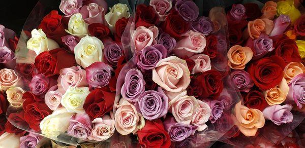 Todd Memorial Chapel