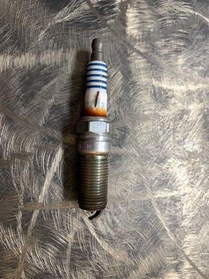 Safe Havens Auto Repair