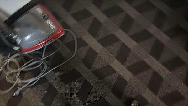 Dingy and filthy carpet that smell disgusting!