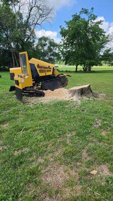 Neighborhood Stump Grinding