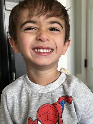 Reptile Rescue Mission - Viejo