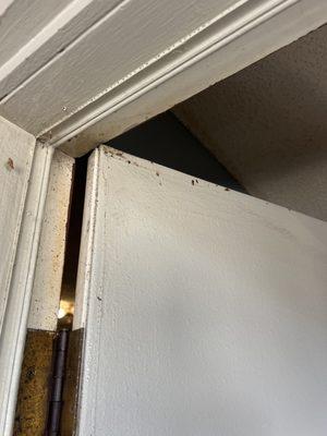 Brooks Exterminating Service Inc